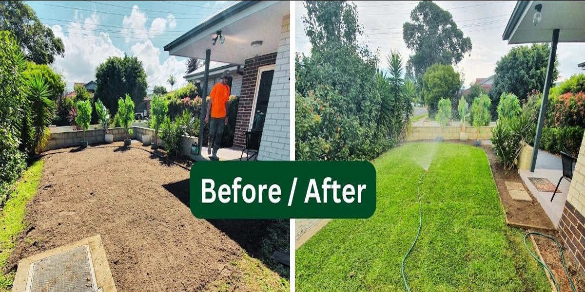 Yard transformation 4